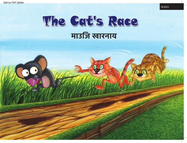 The Cat's Race